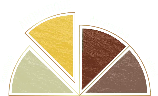 roue aromatique roue aromatique