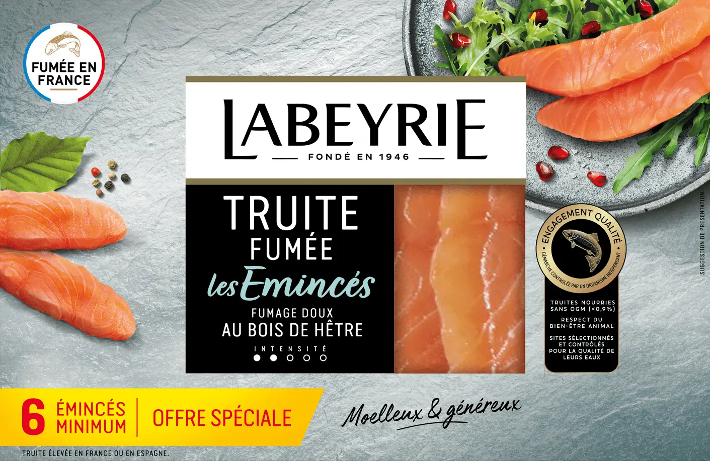 9296V24 6 émincés TRUITES 9296V24 6 émincés TRUITES